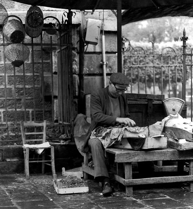 Seller of aromatic herbs, Catania, Sicily, 1971