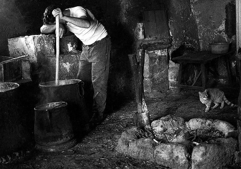 Sheep's milk ricotta. Production of artisan cheese in the Sicilian countryside, Ferla, Sicily, 1971