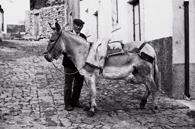 The pride, Ferla, Sicily, 1971