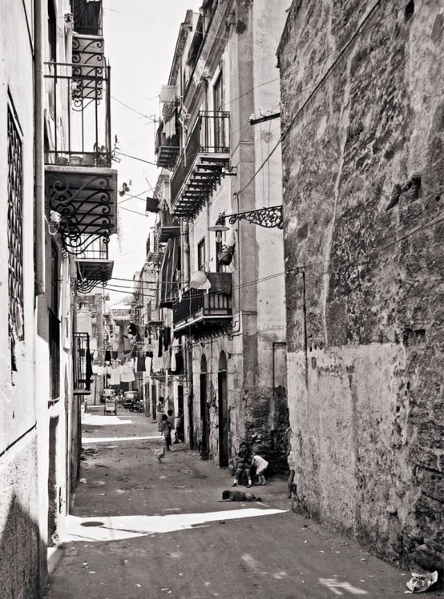 Alley of Palermo. Children, dogs, chickens often share the same spaces of play in the street, Sicily, 1973
