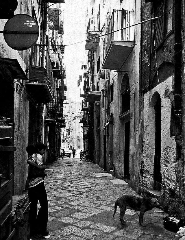Dog's life, Catania, Sicily, 1973