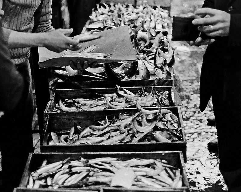 Fish market, Palermo, Sicily, 1973