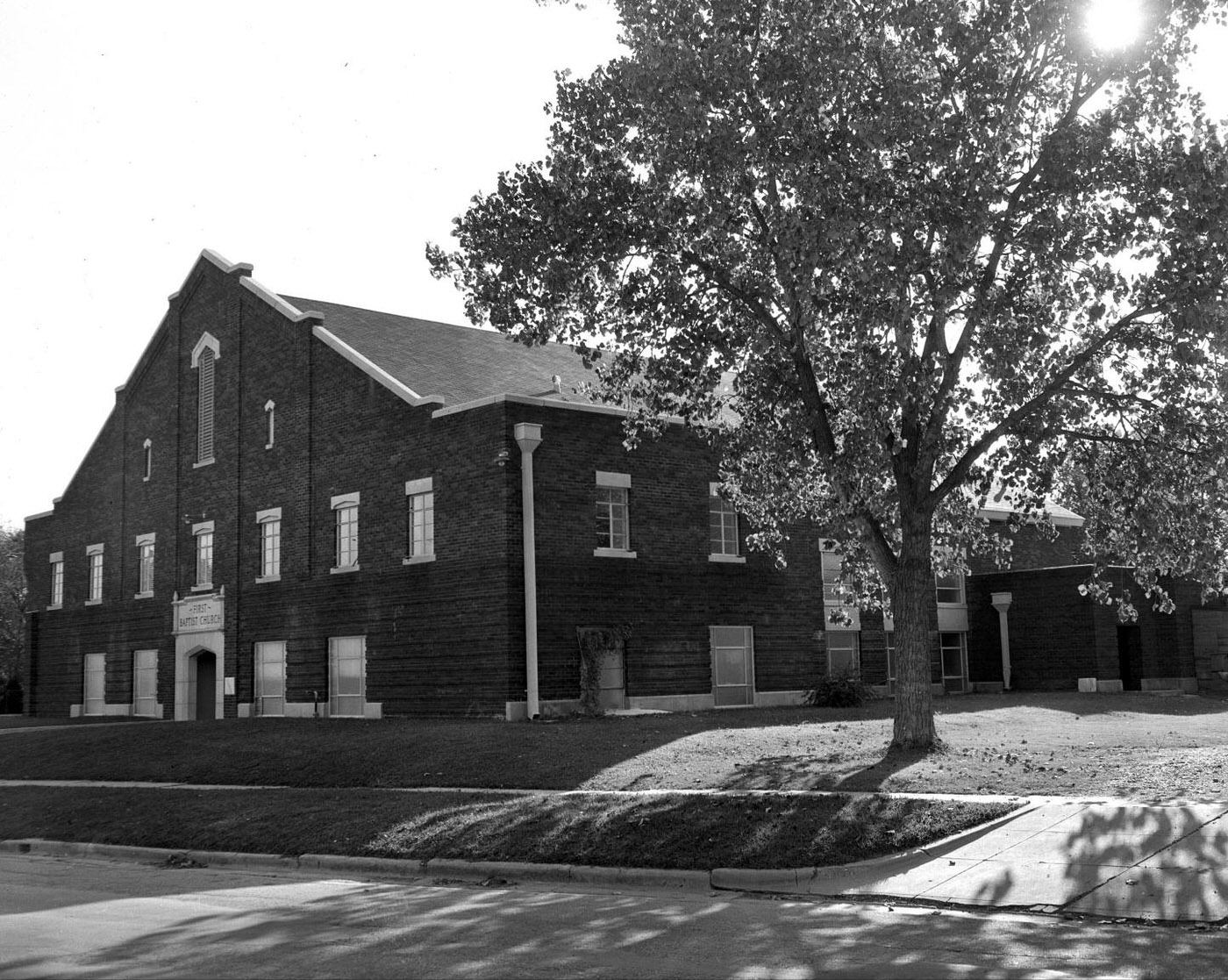 First Baptist Church in Taylor, Texas with Tree, 1950