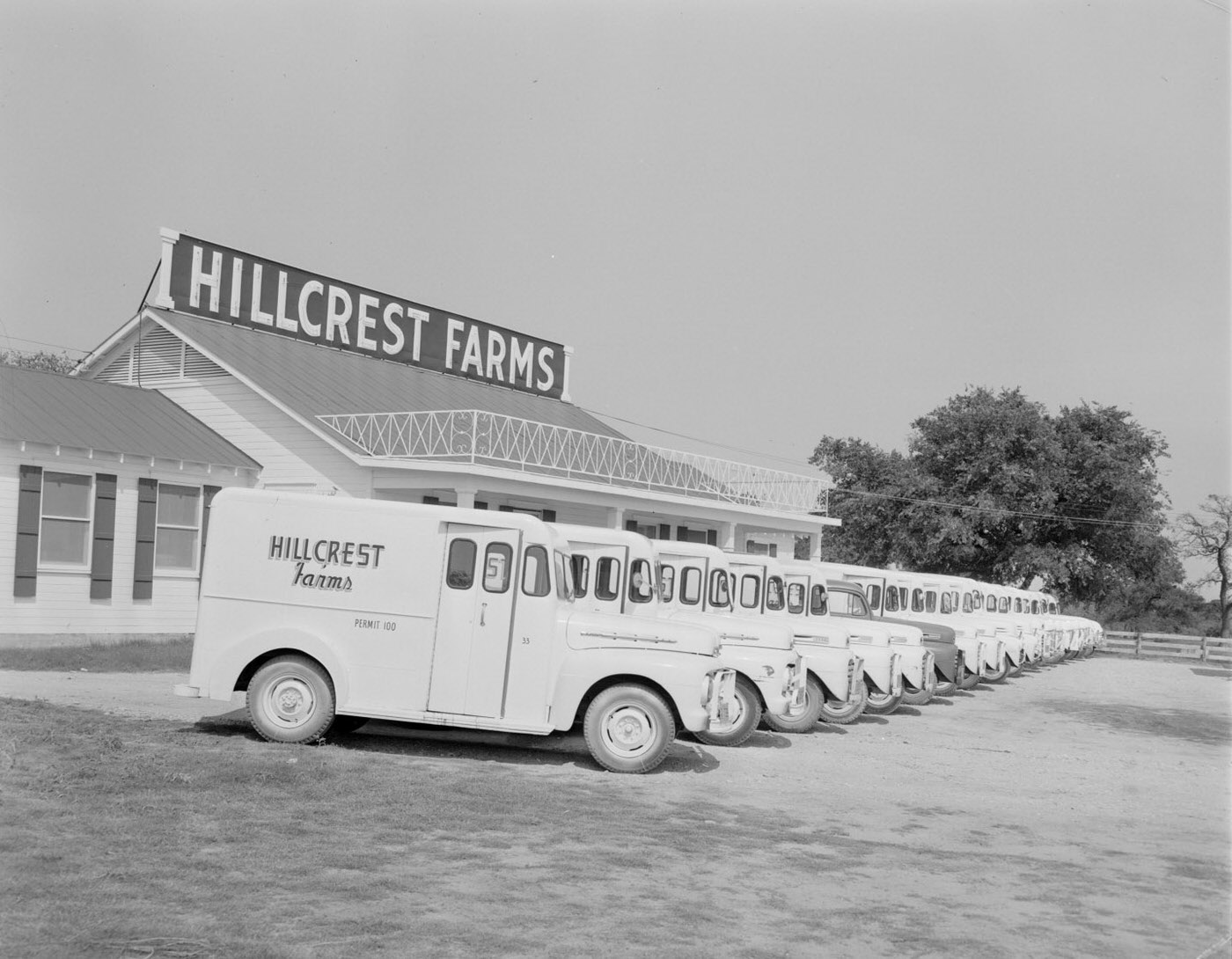 Hillcrest Farms Dairy Trucks in Austin, Texas, 1951.