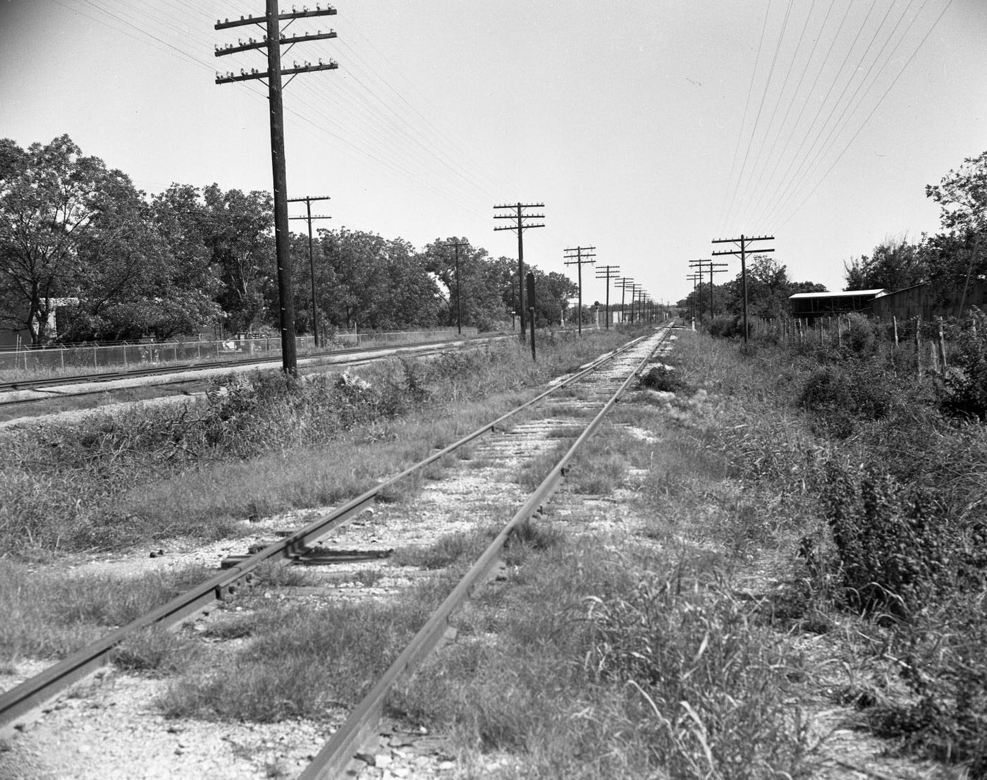 Train Tracks in Countryside, 1954.