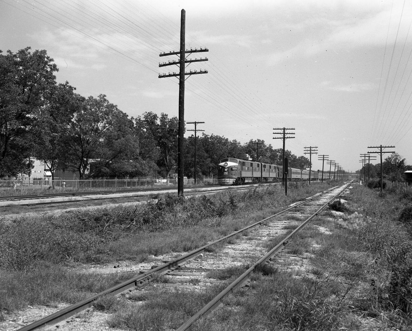 Train Approaching on Tracks in Countryside, 1954.