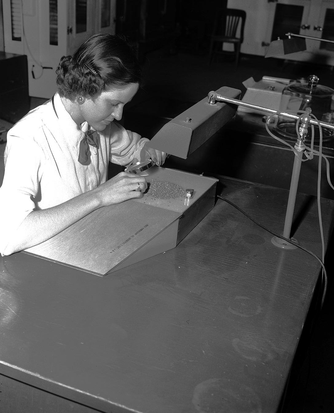 Seed Purity Analysis at State Agriculture Department Laboratory, 1951.