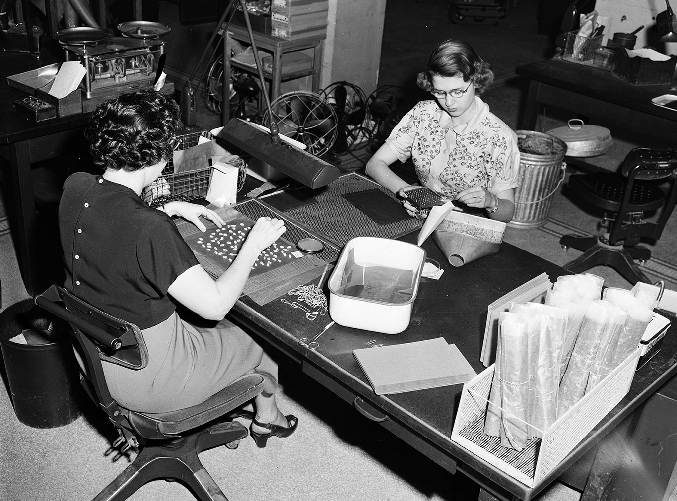 Seed Preparation at State Agriculture Department Laboratory, 1951.