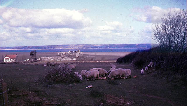 Weobley Castle, Gower, Wales, 1964