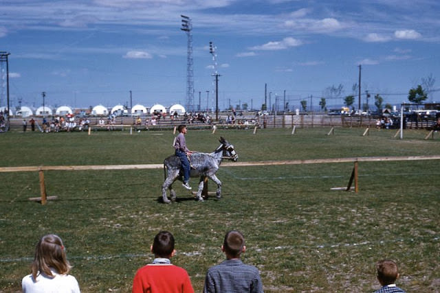 Boy and donkey in last place at race, Torrejon AFB, Madrid, Spain, 1961