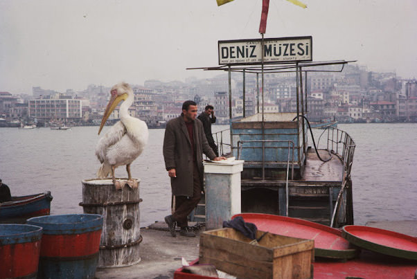 Golden Horn fish dock, Istanbul, Turkey, April 7, 1965