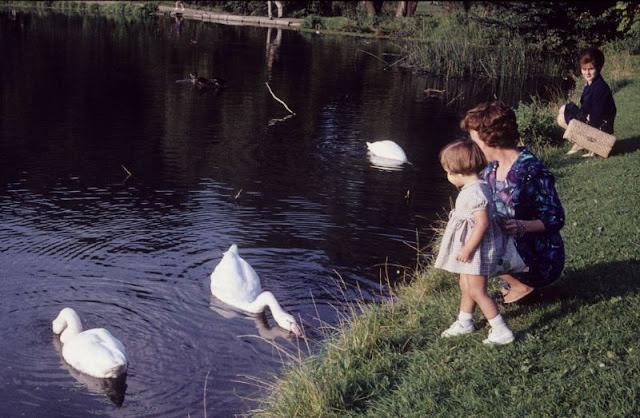 Woluwe-Saint-Pierre, Belgium, 1961