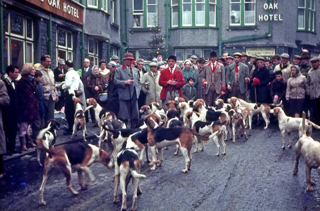 Boxing Day hunt, Keswick, England, 1963