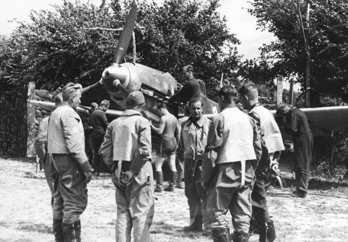 Agriculture in the GDR: Women harvest peas in the LPG Zehren, Meissen district.