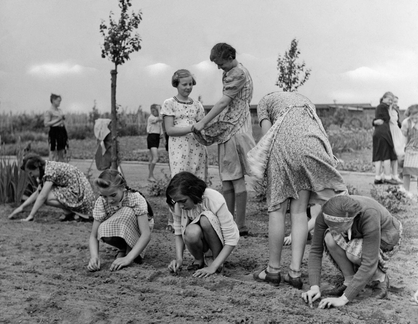 Germany, III. Reich (1933-45): BDM - maidens doing gymnastics at a sport field, 1940.