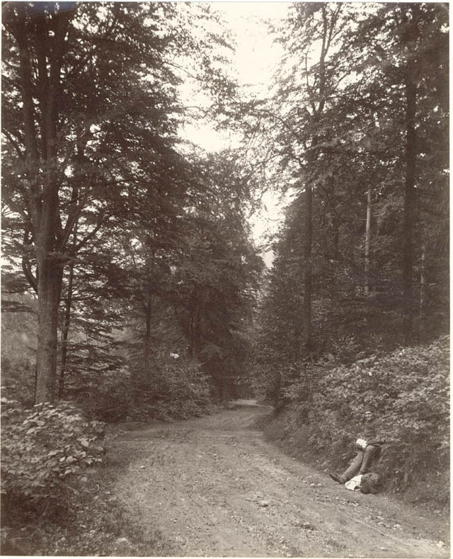 Wanderer to Brocken Mountain, Harz mountains, 1880s.