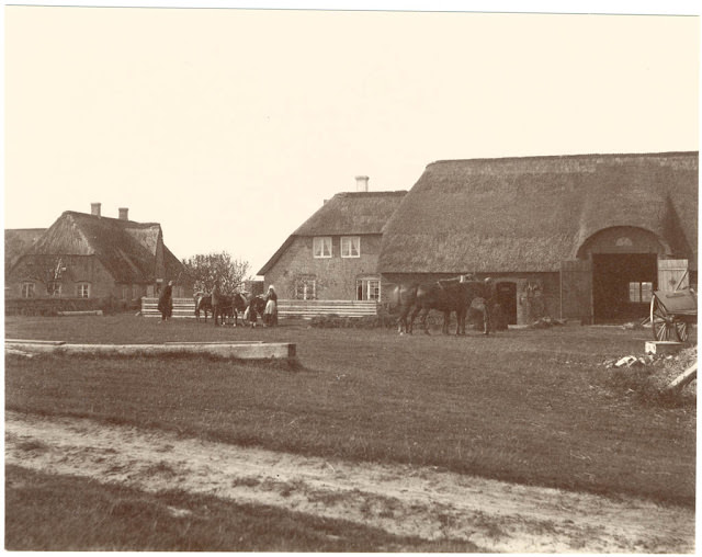 Farmstead with people, island of Sylt, 1880s.