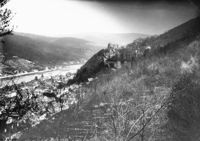 Heidelberg, vineyard terraces, River Neckar in background, 1881.