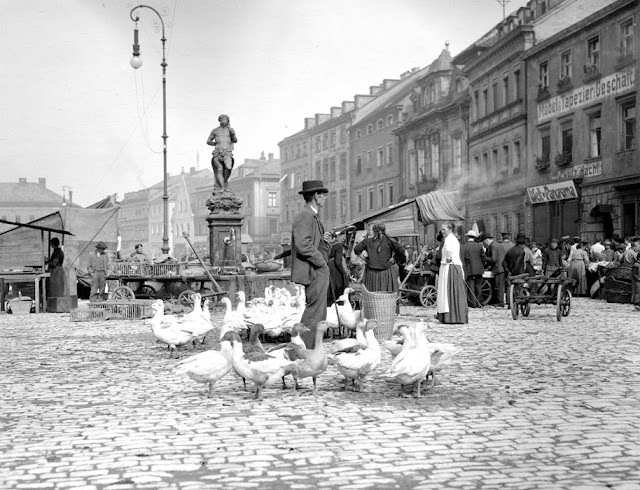 At a market in Bayreuth, Germany, 1904