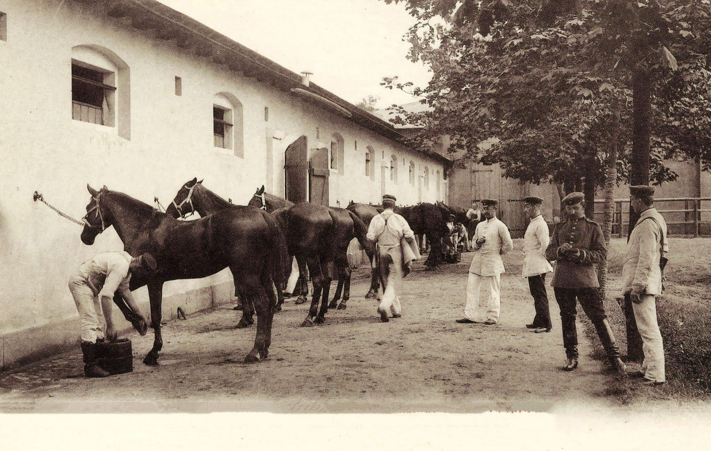 Train-Kaserne, Military use of horses, Dresden, Germany, 1901.