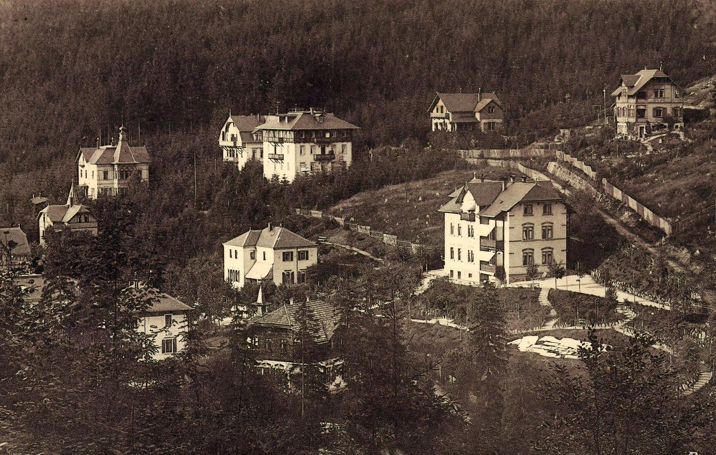 Villas in Saxony, 1901.