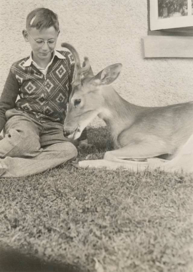 A boy and his deer friend, circa 1930s