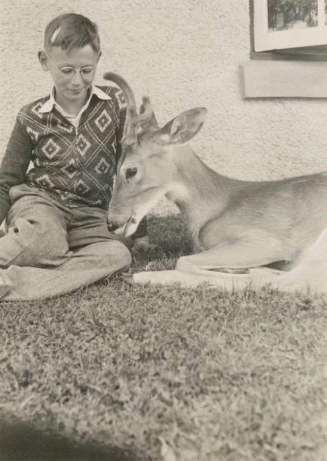 A boy and his deer friend, circa 1930s