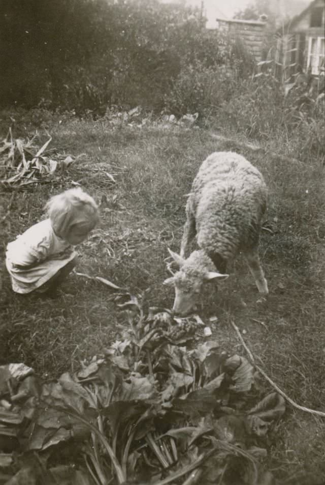Fascination, circa 1930s