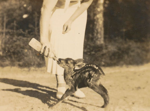 The gentle hand, Germany, circa 1930s