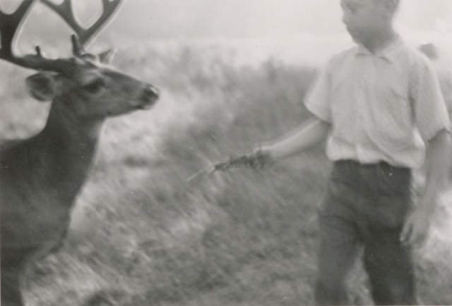 A tender offering, circa 1950s