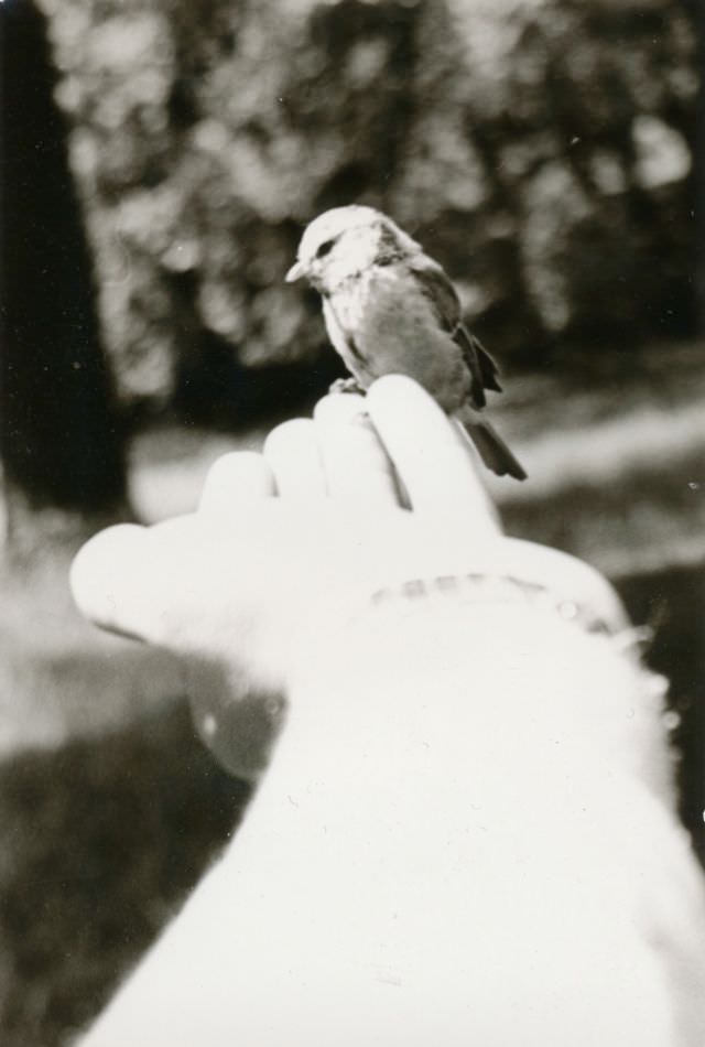 Little friend, Germany, circa 1950s