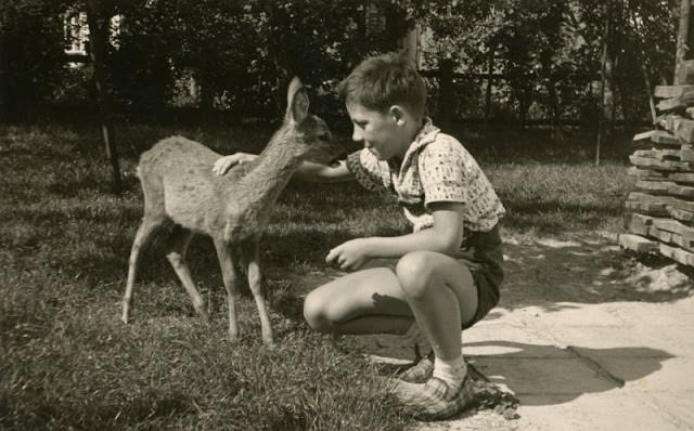 Their eyes met and time stood still, Germany, 1960