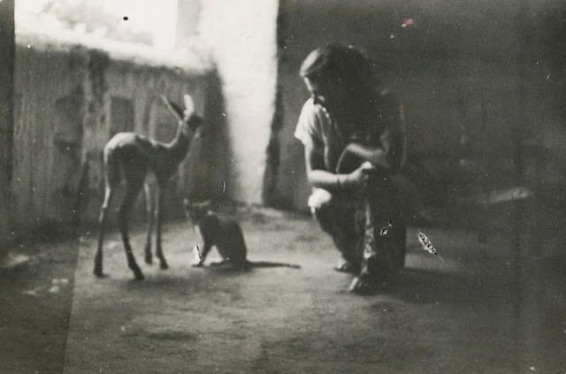 We three gentle souls, circa 1960s