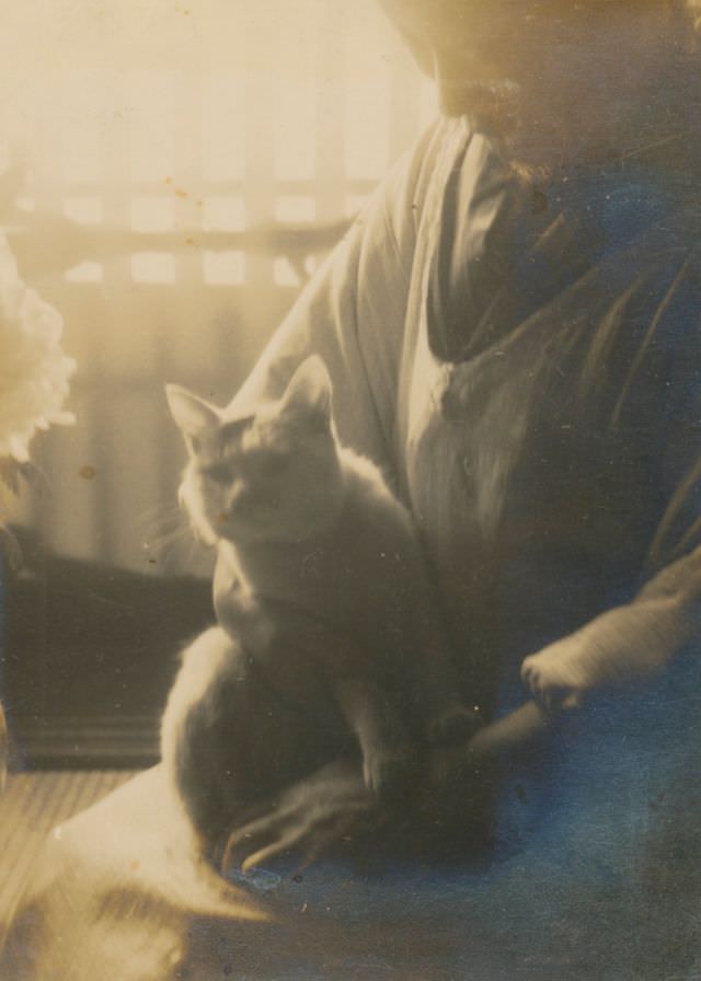 Kind hands and gentle paws, somewhere in Japan, circa 1920s