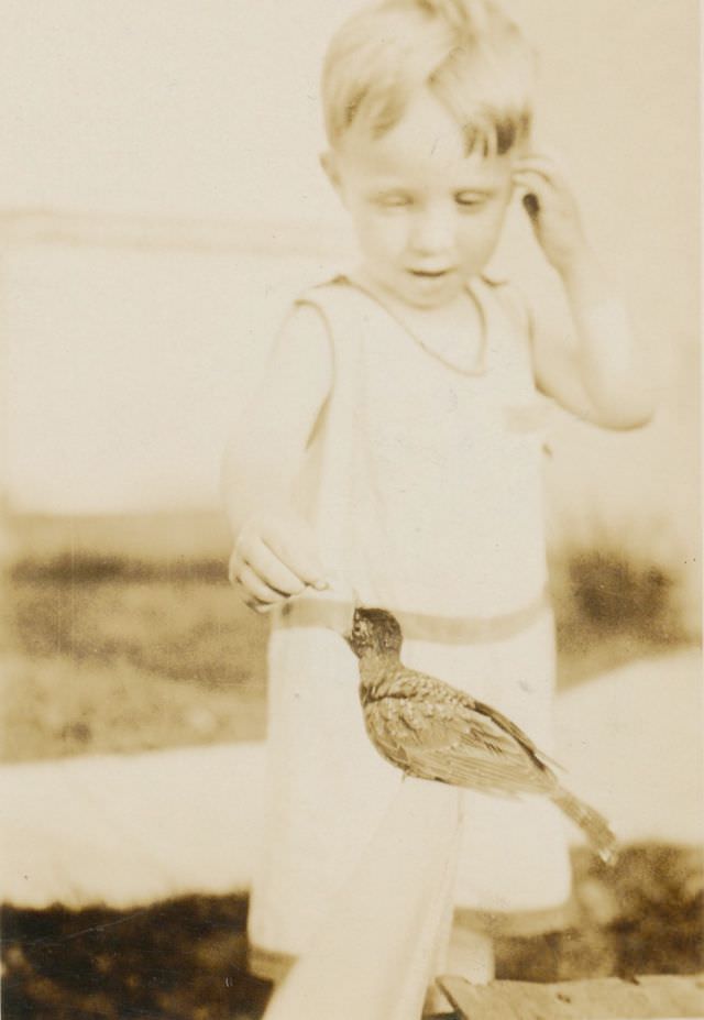 Little boy feeding what may be a baby robin, circa 1920s