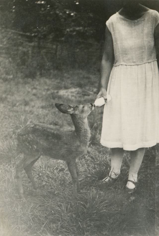 The gentle hand, circa 1920s