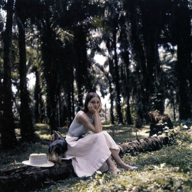 Audrey Hepburn with her Yorkie, Mr. Famous during a break while filming "The Nun's Story", in the Belgian Congo, 1958