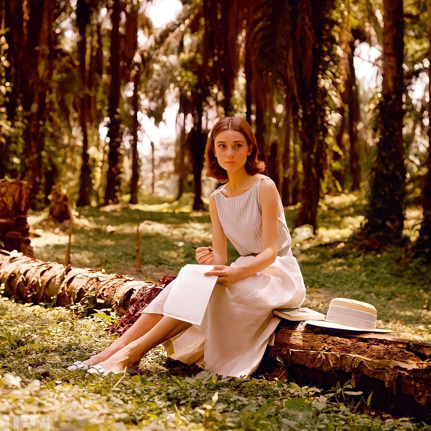 Audrey Hepburn sits on a log while writing a letter in the Congo jungle where she was filming "The Nun's Story," 1958.