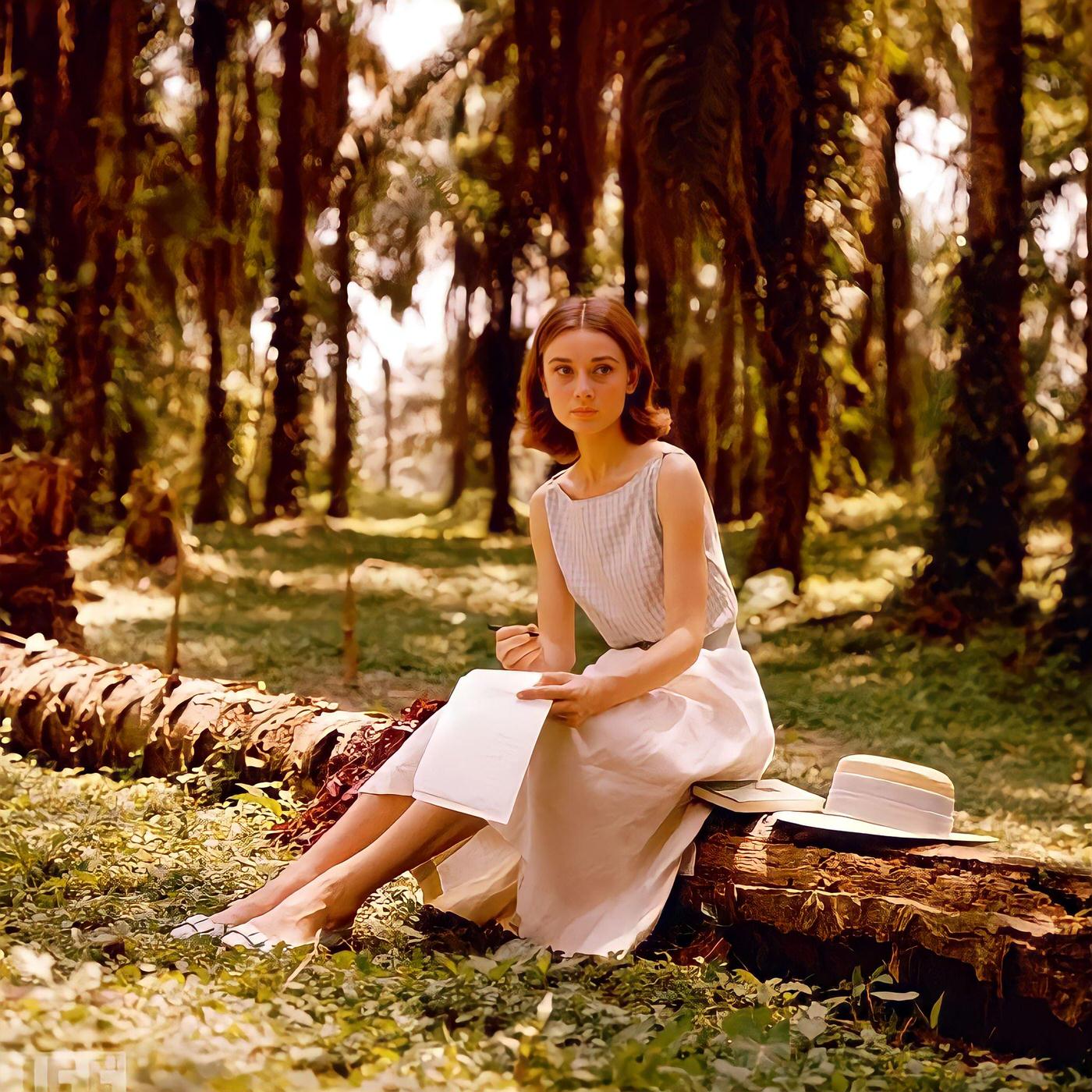 Audrey Hepburn sits on a log while writing a letter in the Congo jungle where she was filming "The Nun's Story," 1958.
