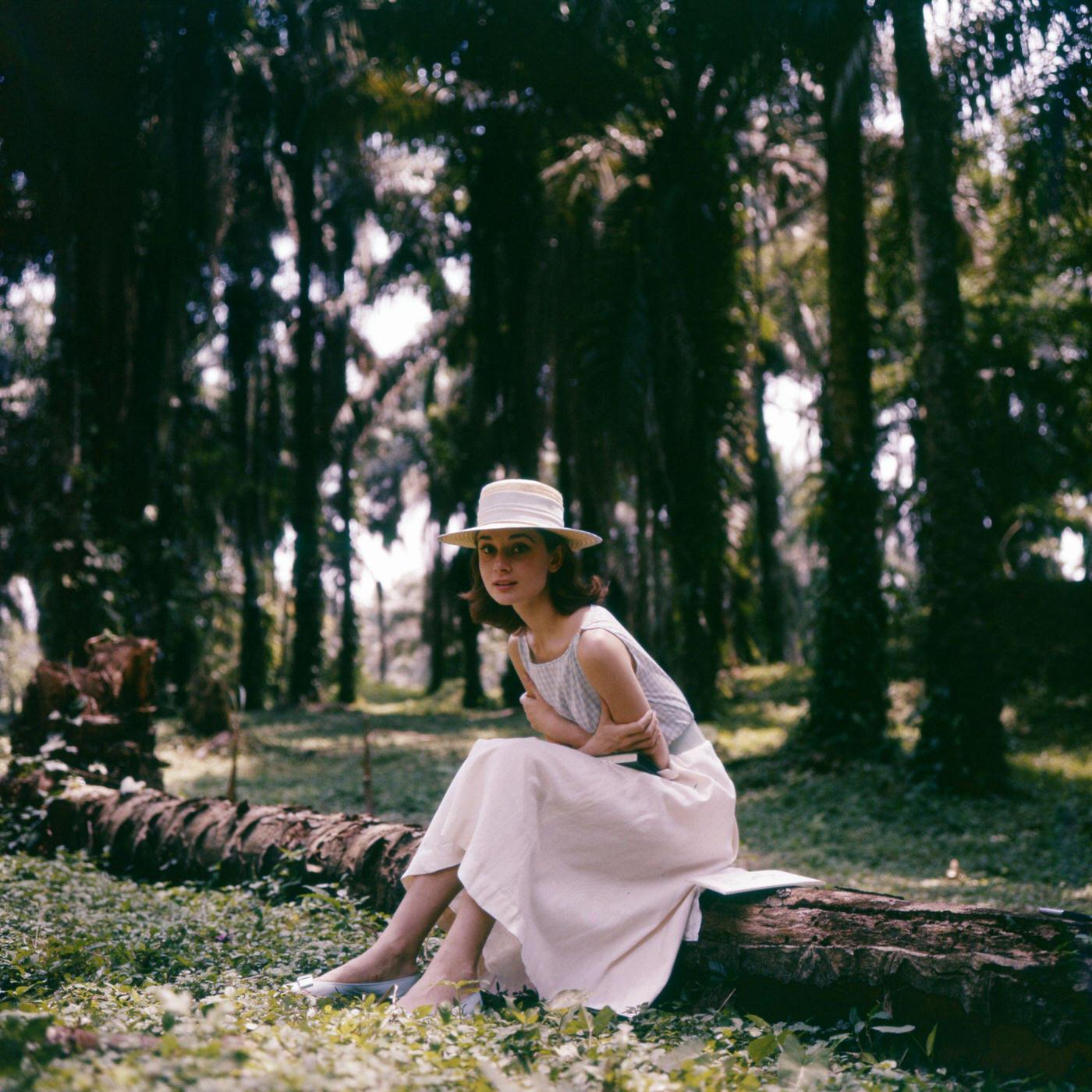 Audrey Hepburn with a white hat and dress sits on a tree while walking in the Congo forest, 1958.