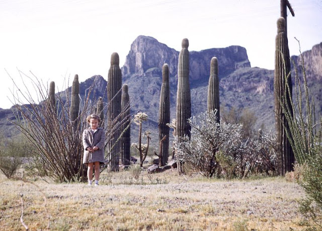 Child Standing Tall with Cactus, Circa 1950s