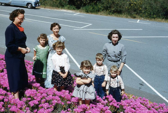 Women and Children Standing in Flowered Area, Circa 1950s
