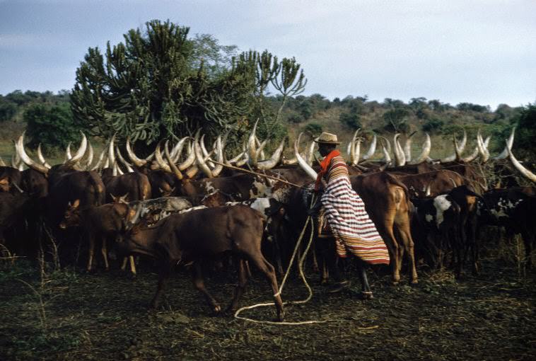 Kenya, 1958
