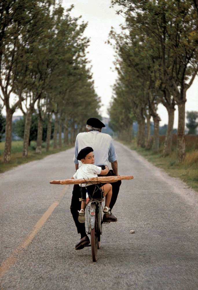 Provence, France, 1955