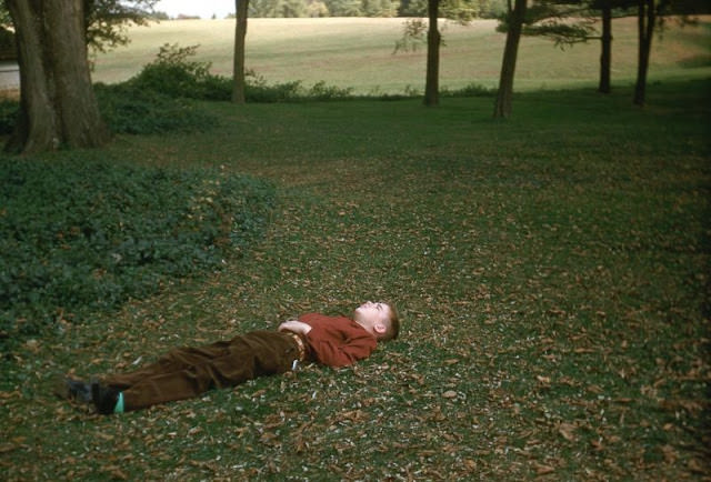 Young Man Lying in Field, Mount Vernon, Virginia, 1951
