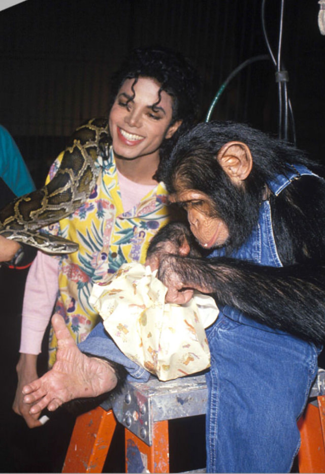 A Pop King and His Primate: The Tale of Michael Jackson and His Pet Chimp, Bubbles