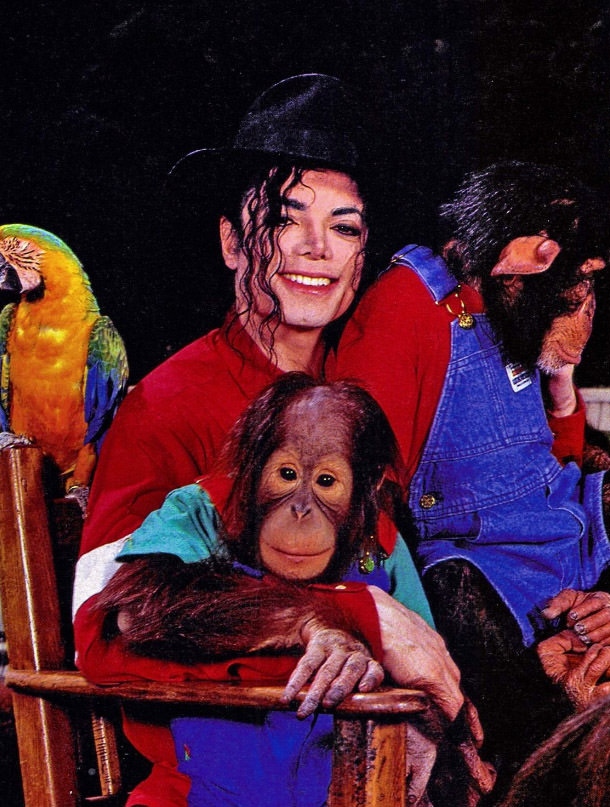 A Pop King and His Primate: The Tale of Michael Jackson and His Pet Chimp, Bubbles