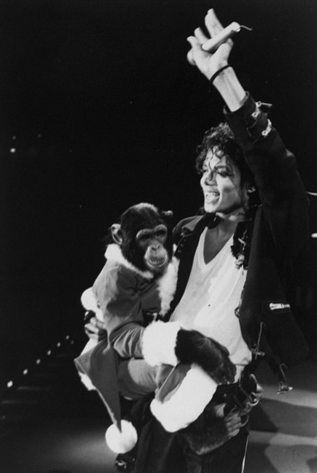 A Pop King and His Primate: The Tale of Michael Jackson and His Pet Chimp, Bubbles