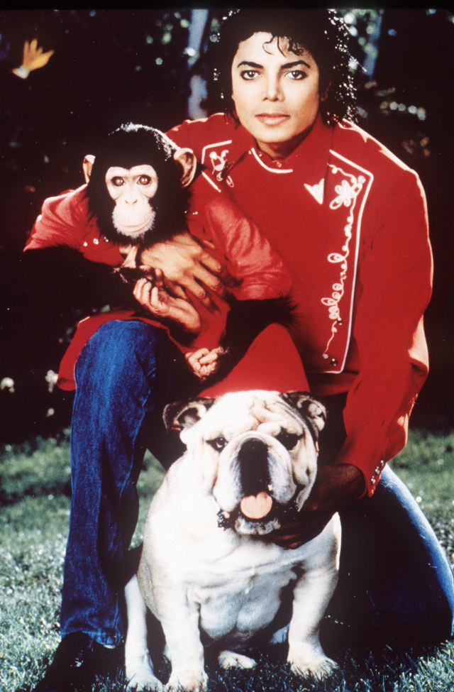 A Pop King and His Primate: The Tale of Michael Jackson and His Pet Chimp, Bubbles