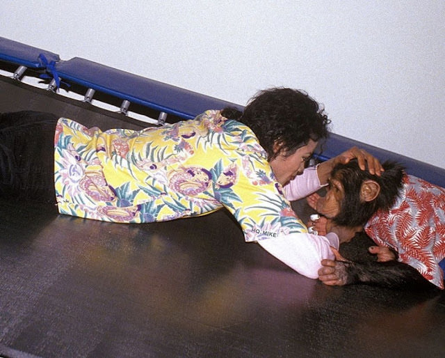 A Pop King and His Primate: The Tale of Michael Jackson and His Pet Chimp, Bubbles